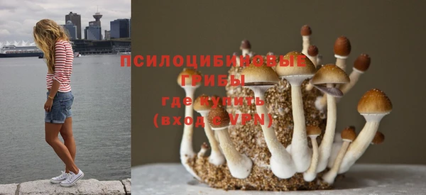 скорость Каменск-Шахтинский