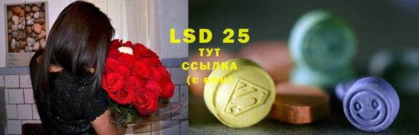 стаф Иннополис