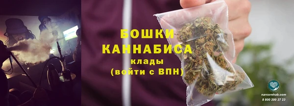 дживик Каменногорск