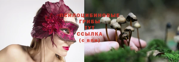 MDMA Зеленокумск
