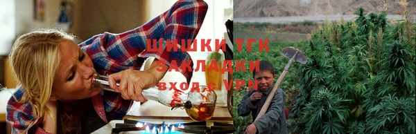 дживик Каменногорск