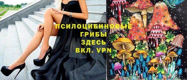 дживик Каменногорск