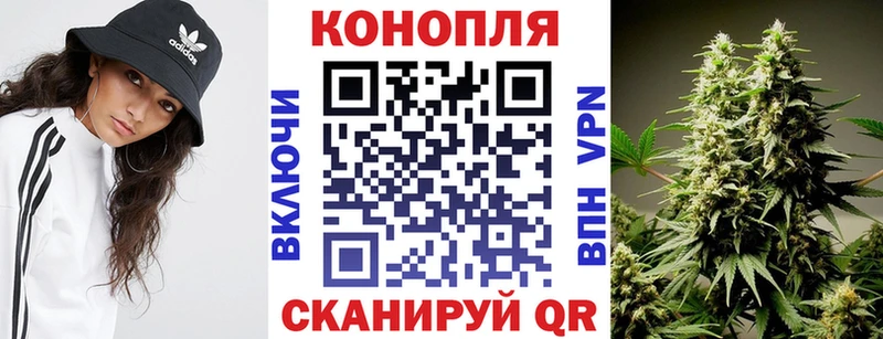 Конопля ГИДРОПОН  Кологрив 